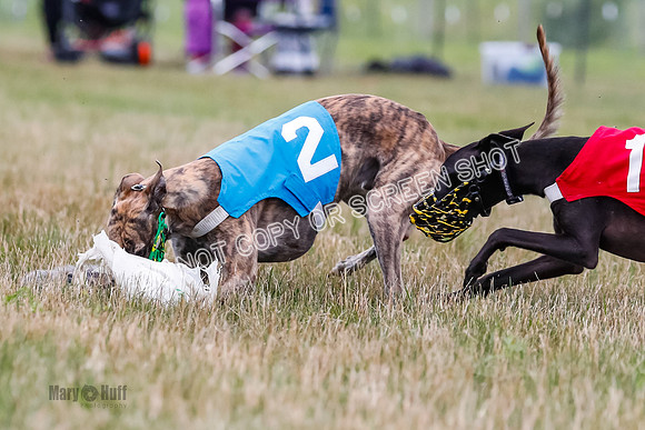 Prg 3, Race 5, Sid-Alex-Zed-Fama-Talim-1200
