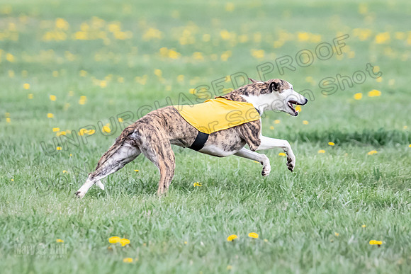 1 Prelim FCh A1 Carrie Finely JesseJames-6644