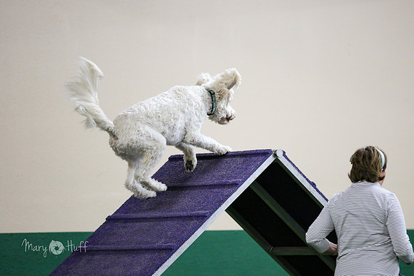 HO4A1107