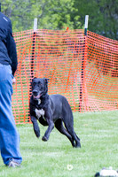 IMG_0724