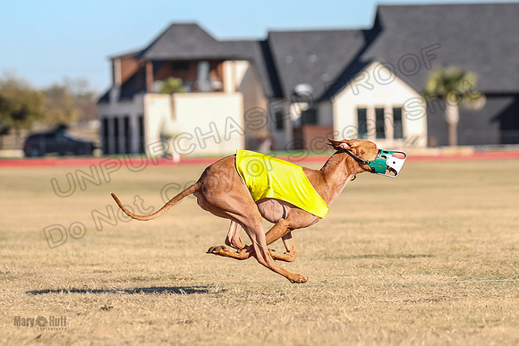 1Prelims Spec 2 Tango Cuest-0888