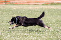 6N1A1036