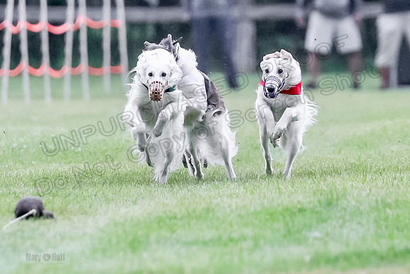 AE4I8936