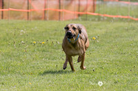 HO4A4367