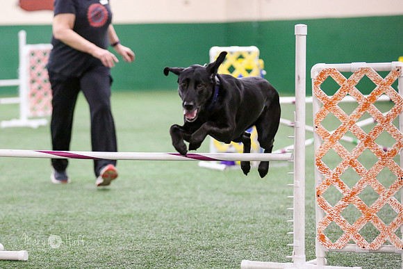 HO4A1691