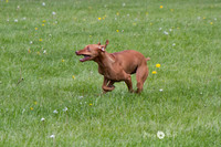 IMG_1295