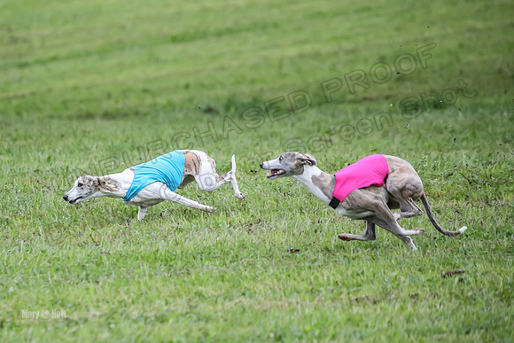 Prelim Open E5, Scorch Cobalt Kiwi-9151