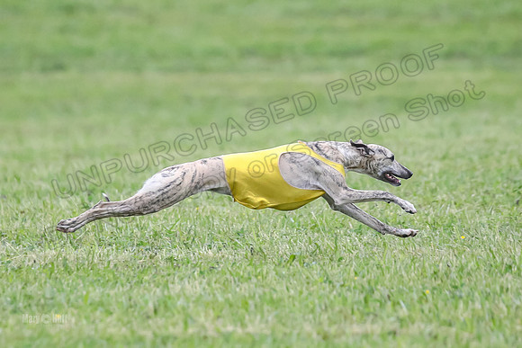 Prelim Open E6, Dazzle Sunshine-9212