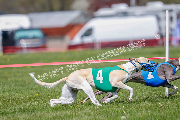 NOTRA Program 2, Race 9, Savvy Elia Chernobog Coyote-2-8