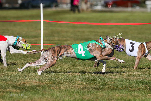 Prg 4, Race 11, Rebel Nami Grit Moonstruck-2726