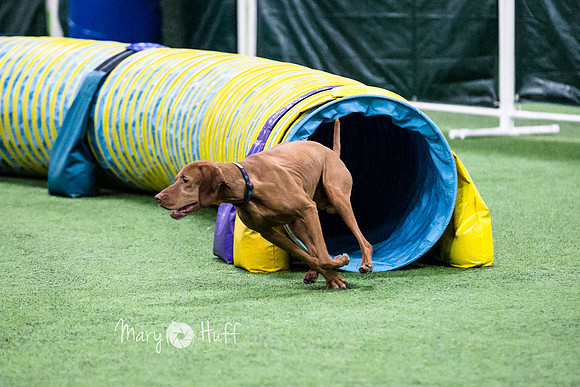 HO4A1603