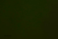 Cat Test 1-0434