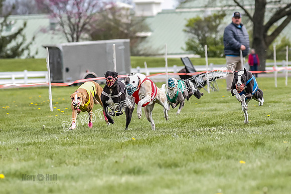 WRA, Prg 1, Race 10, Jamie Pico Nami Elia CC Savvy-8411