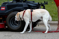 L3 Vehicle-7216