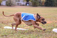 1 Prelims Fch 1 Ace Dakota Remmy-0277