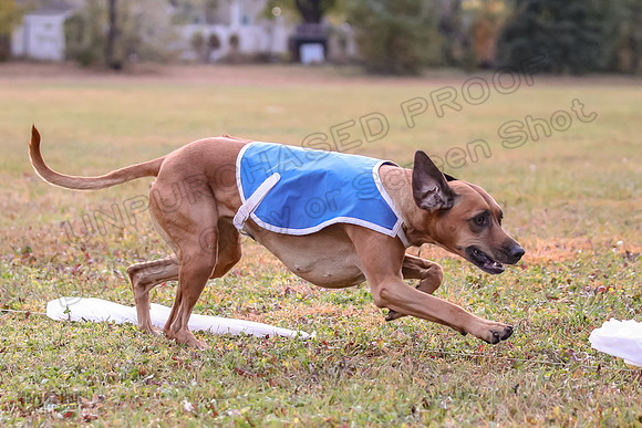 1 Prelims Fch 1 Ace Dakota Remmy-0277