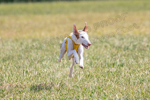Finals Specials B2 Willow Katy Penny-1455