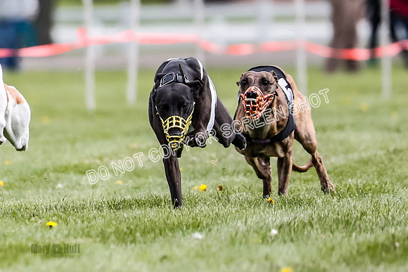 WRA, Prg 1, Race 11, Entei Watson Chernobog Dusty Snacks Riggs-8445