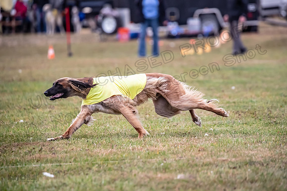 Finals Open NaVi Khan-2746