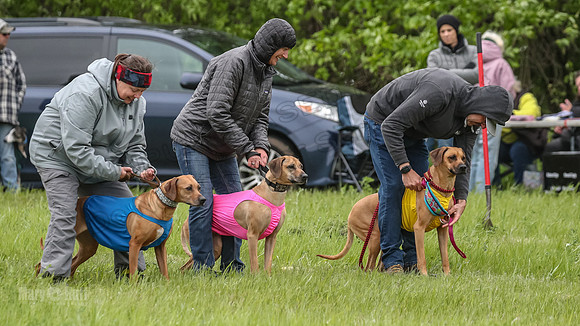 Finals Fch Opal Islay Eve-8993