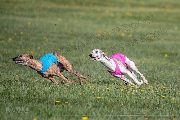 1Prelims Open E1 Boujee Riptide Zaza-0716
