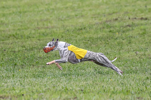Prelim Open G3, Cuvee Riddle Smudge-9493