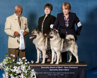Elkhound 2020-1195-Edit