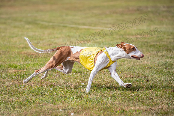Finals Open 1 Jagger Maverick-3015
