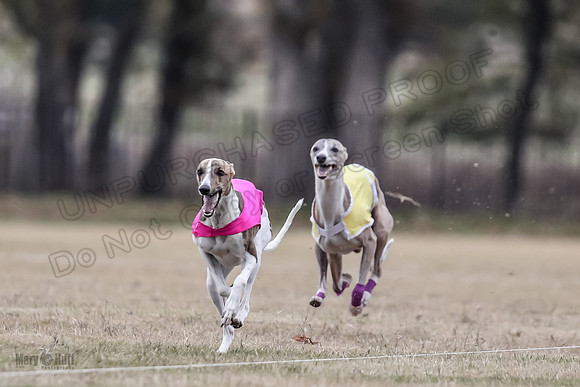 Finals Open 4 Rigel Trixie-4126