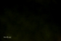 MCH50436