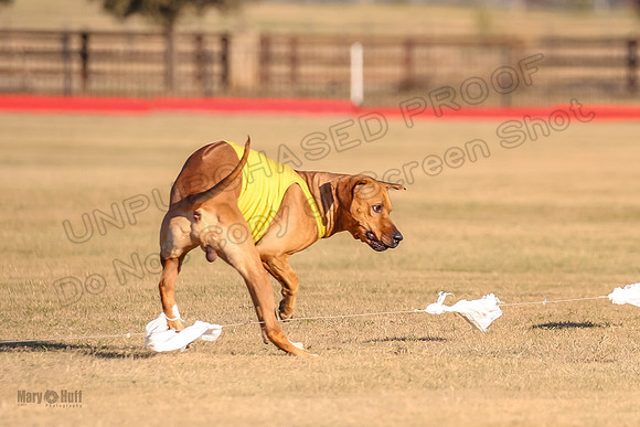 1Prelims Spec 1 Ash Zoey Zanna-9653