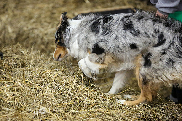 MCH51287