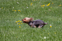 IMG_1238