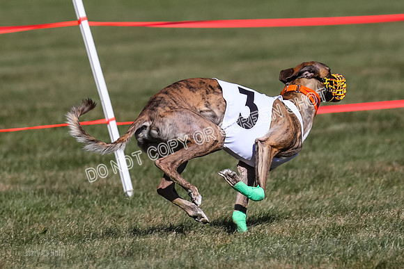 Prg 4, Race 3, Fortuna Rosie Mika Warrior-2560