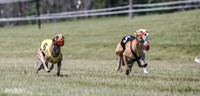 Racing
