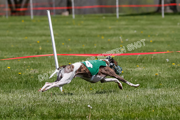 NOTRA Program 3, Race 4, Maybe Power Flora Clyps-2-13
