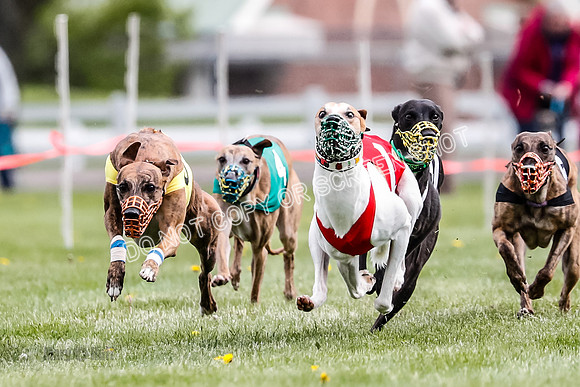 WRA, Prg 1, Race 11, Entei Watson Chernobog Dusty Snacks Riggs-8440