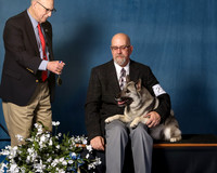 Elkhound 2020-1144
