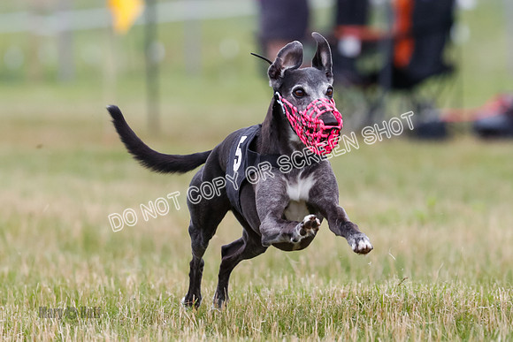 Prg 3, Race 2, Chuck-Tusi-Smokey-Raz-Angel-Nathalia-1061