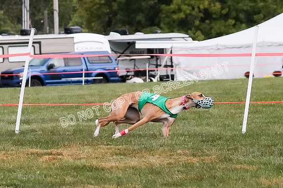 Prg 1, race 9, Rizzo Halima Sansa Flora-0785