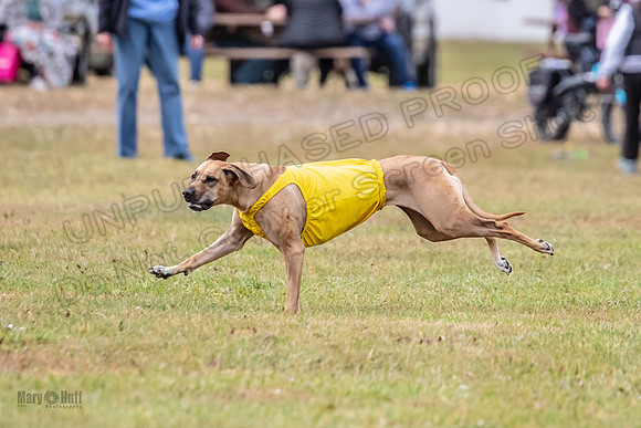 Finals Fch 1 Islay Opal Dakota-2409