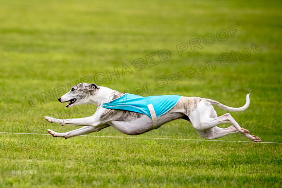 Prelims Misty-0643
