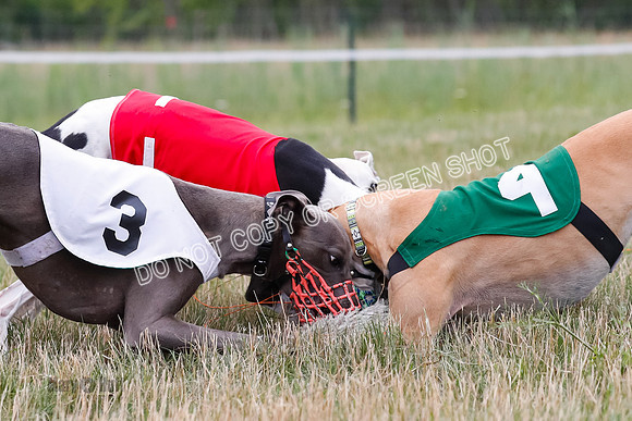 Prg 3, Race 2, Chuck-Tusi-Smokey-Raz-Angel-Nathalia-1081