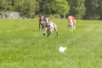 Program 1 Race 1, Willow Charlotte Angel-0028