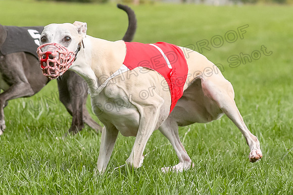 Program 1 Race 1, Willow Charlotte Angel-0050