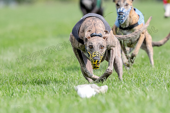 Program 1 Race 4, Chuck Meatloaf Axl Halford Devo-0169