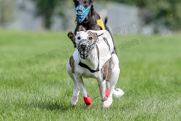 Program 1 Race 6, Sting Addie Valleri Julian-0225
