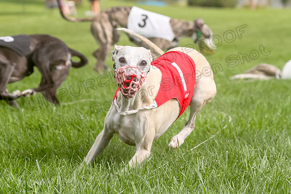 Program 1 Race 1, Willow Charlotte Angel-0052