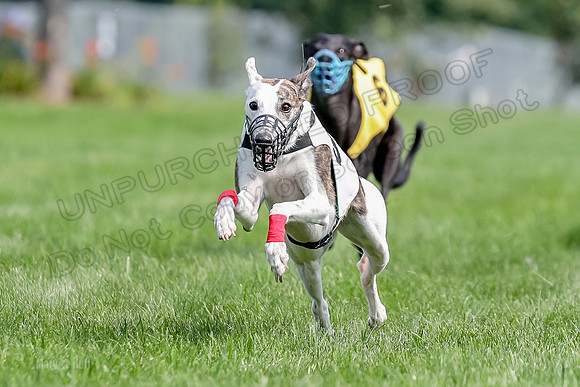 Program 1 Race 6, Sting Addie Valleri Julian-0227