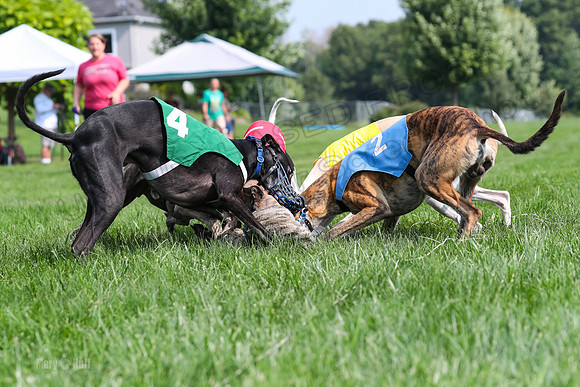 Program 1 Race 4, Chuck Meatloaf Axl Halford Devo-0191